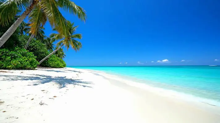 Radhanagar Beach on Havelock Island, Andaman Islands