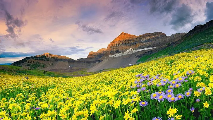 Himachal Pradesh