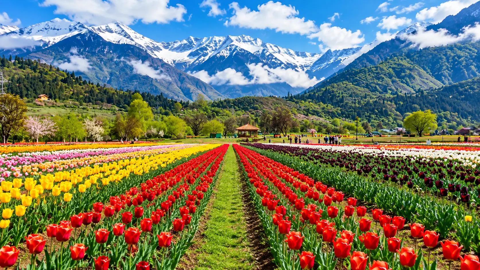 Srinagar, Pahalgam & Gulmarg, Kashmir, India