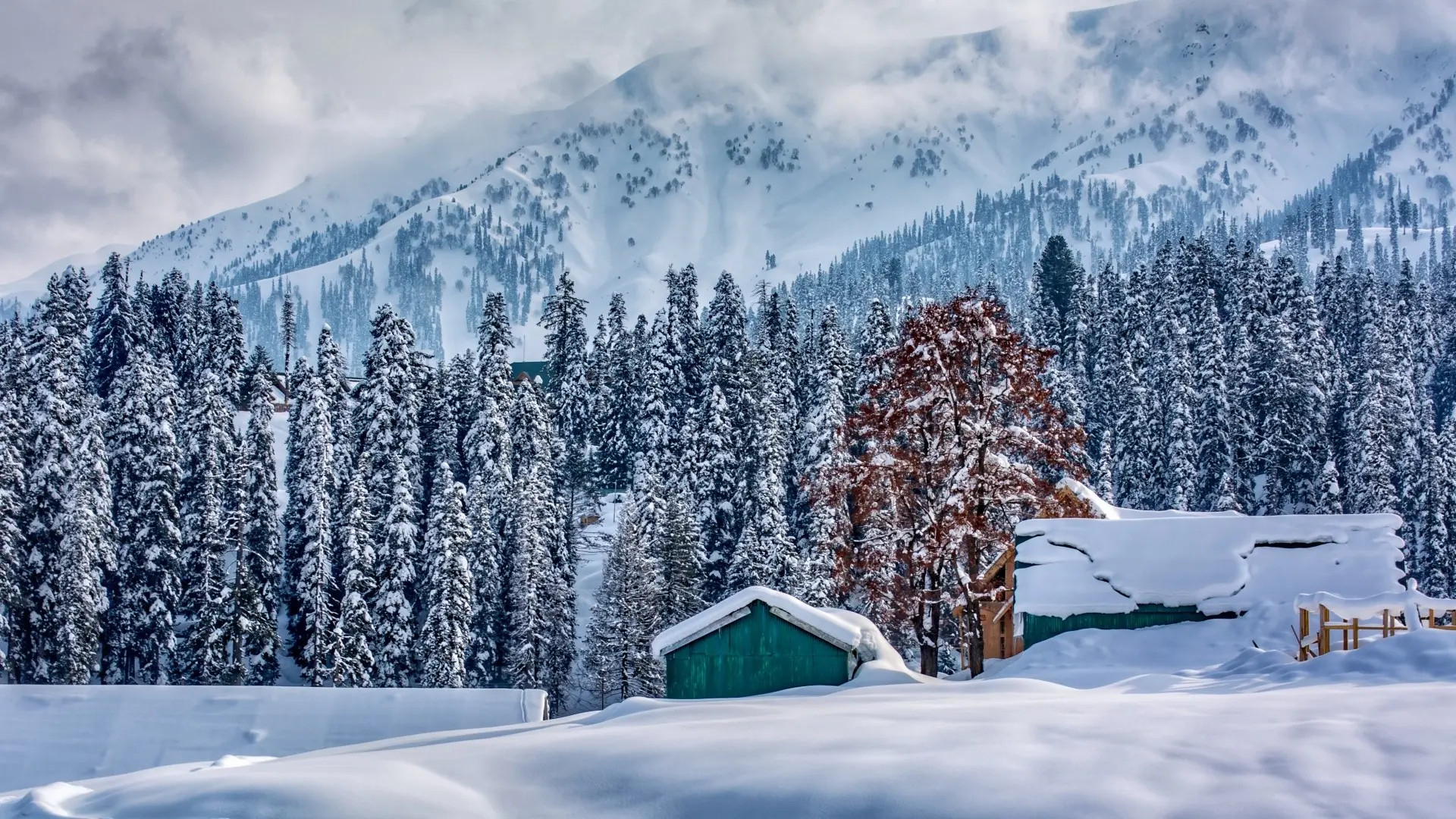 Jammu & Kashmir