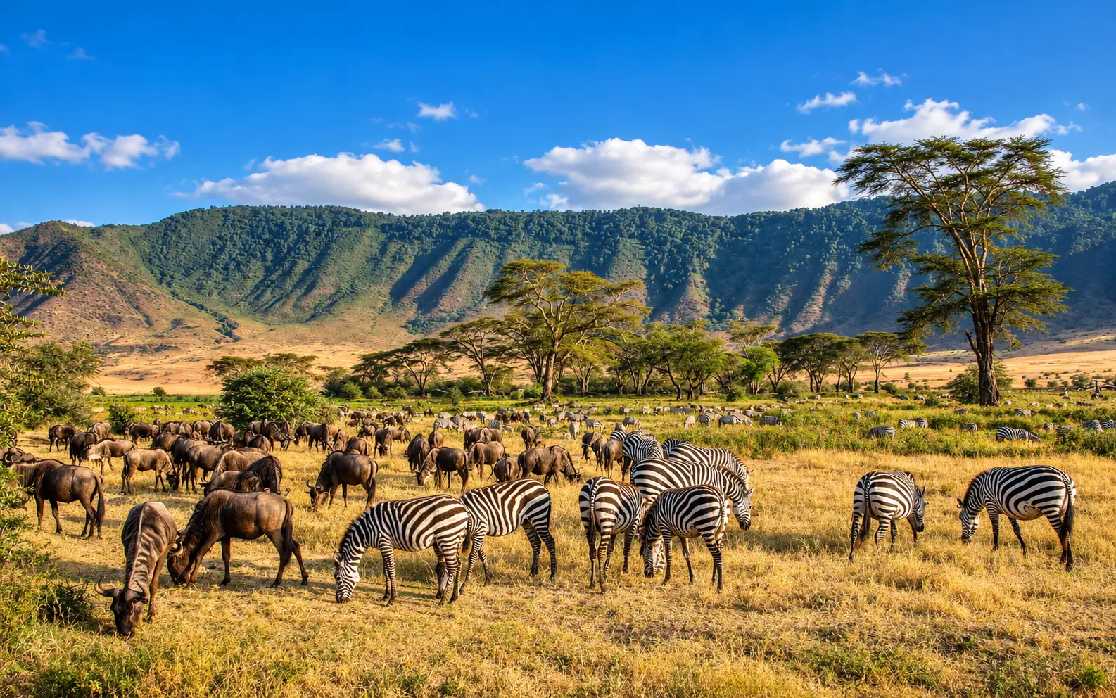 Tanzania