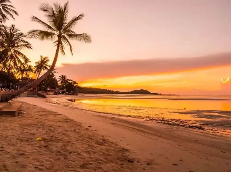 Goa